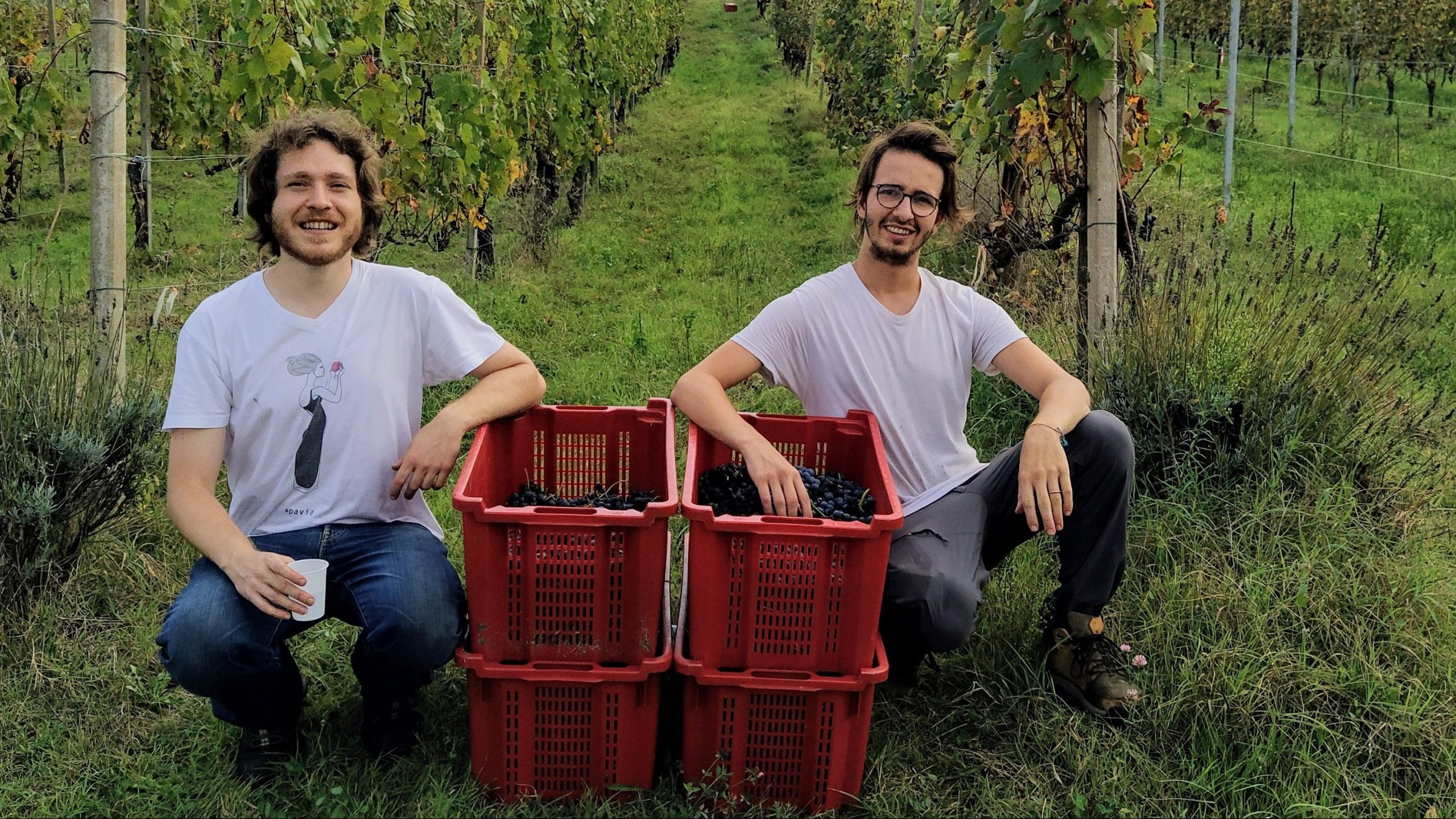 Fermentazioni spontanee e altri sortilegi: Oltrepò Pavese 2020