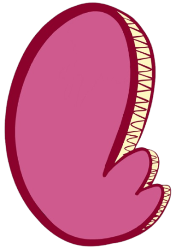 BALLA e1744105650934