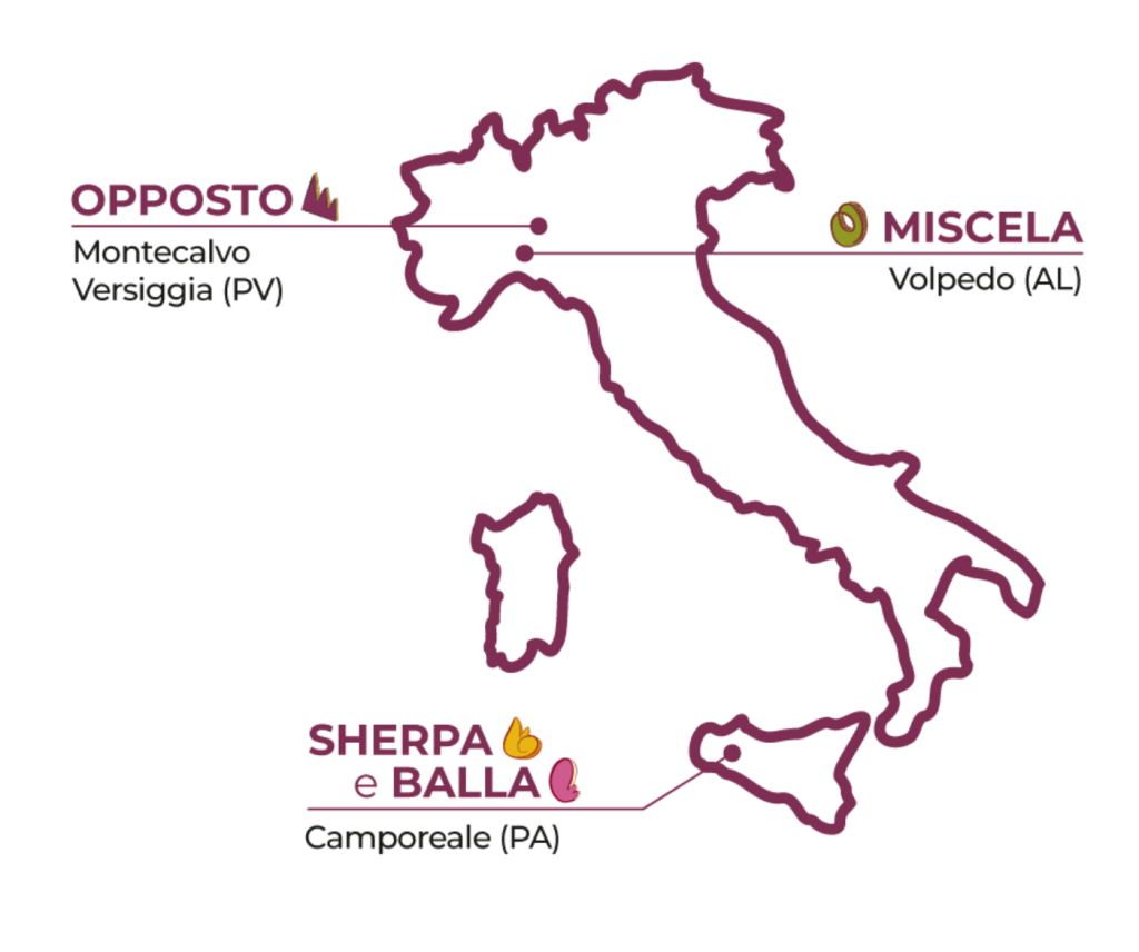 Home 5 mappa vini new 2025 1